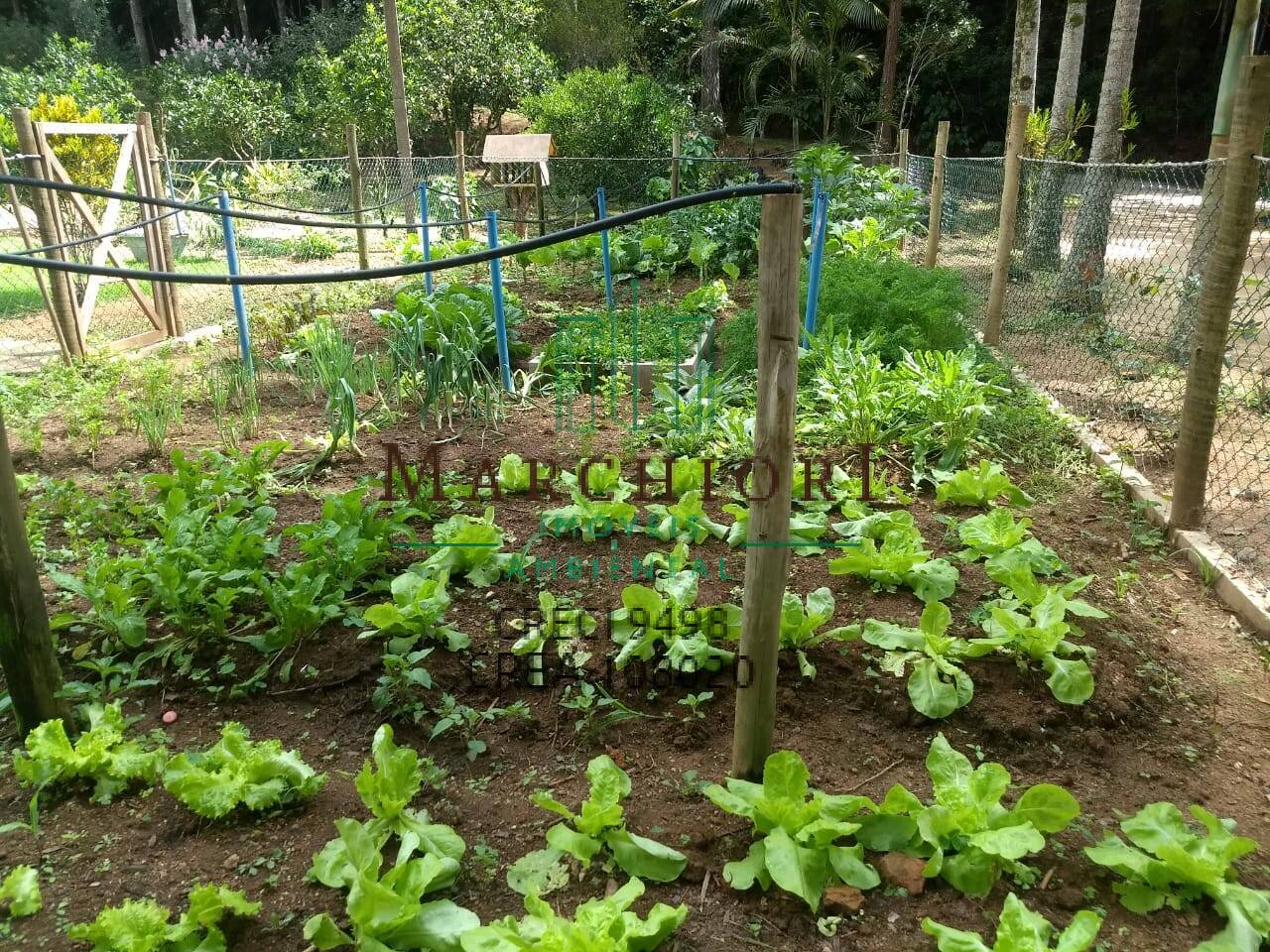 Casa de Condomínio à venda com 4 quartos, 1000m² - Foto 28